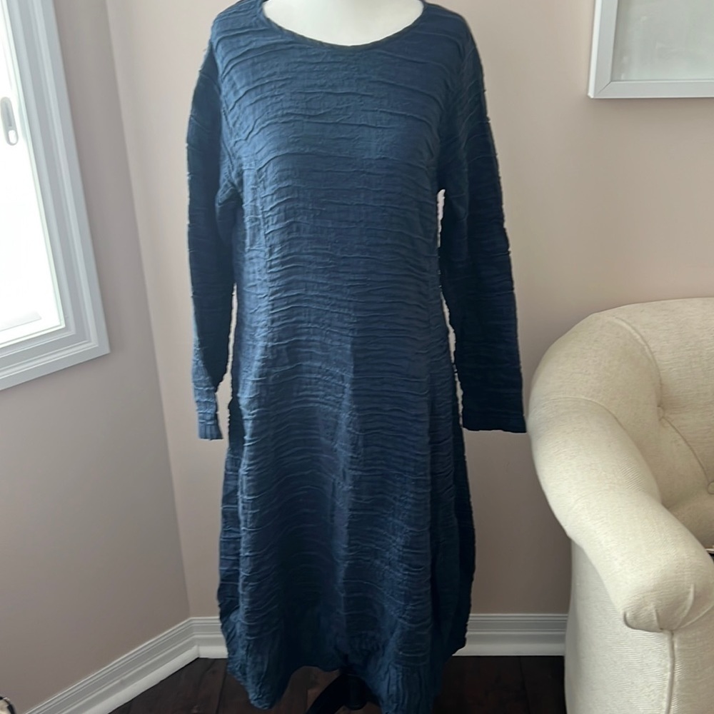 𝅺AUREA Vita l Fine Ruffled Long Sleeve Dress
